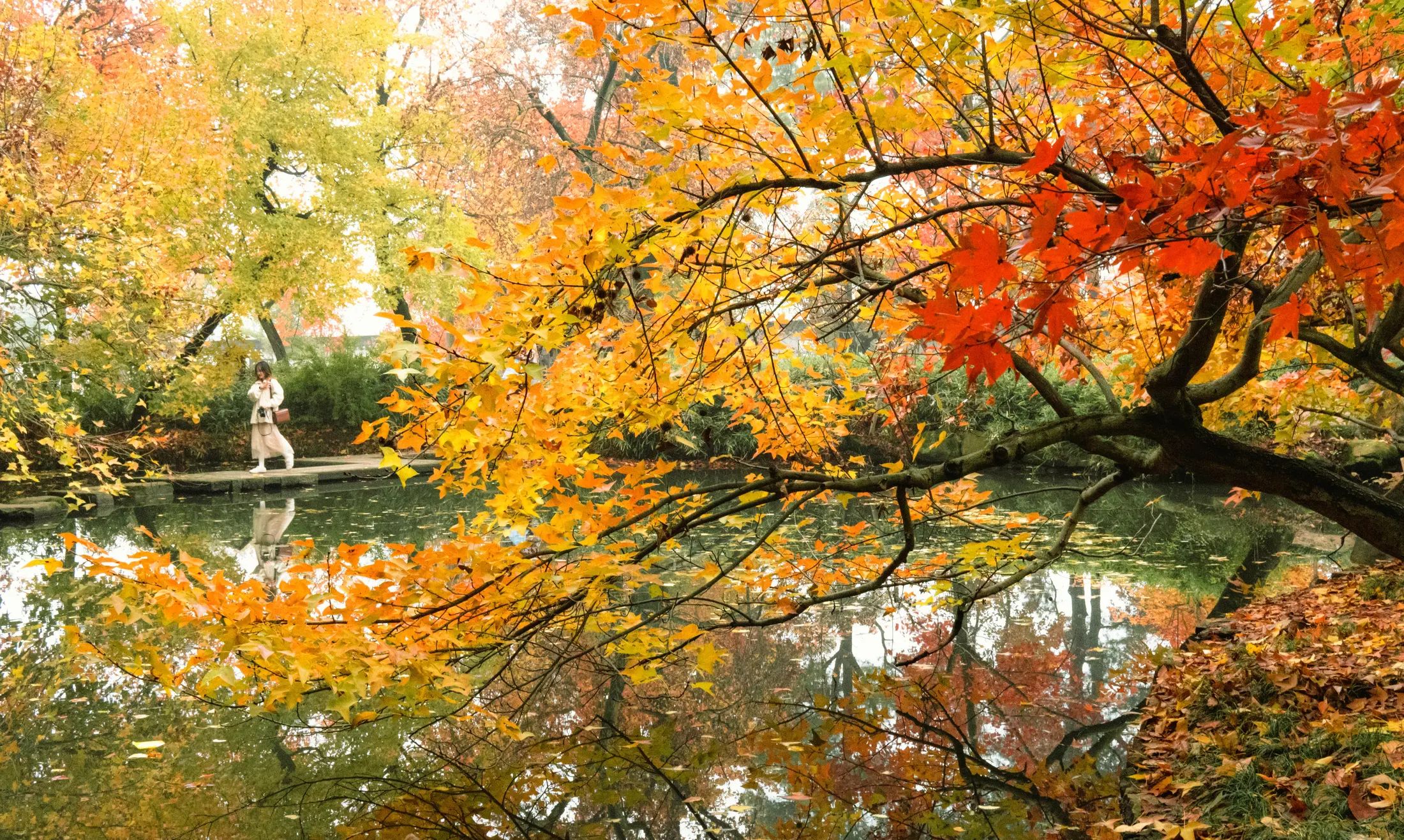 Tianping Mountain, Suzhou - Autumn Colors 苏州天平山斑斓秋色