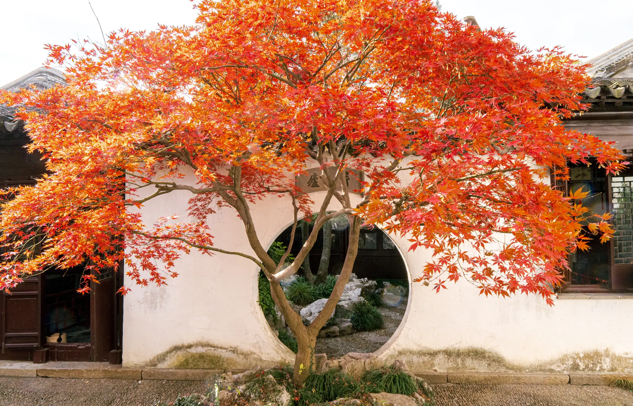 Yipu Garden, Suzhou - The Scholar's Retreat 苏州艺圃