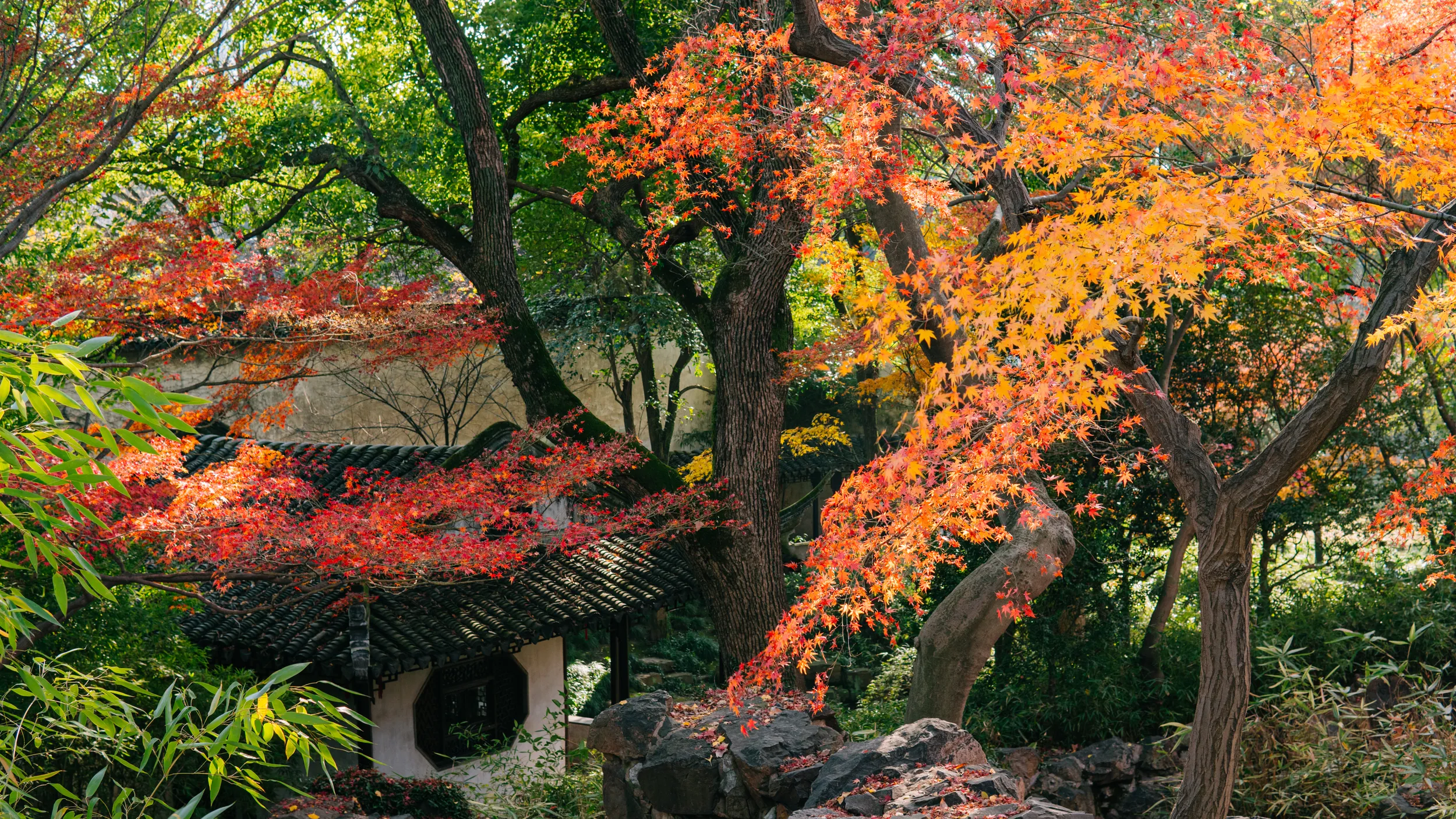 Autumn Colors of Lingering Garden, Suzhou 苏州留园