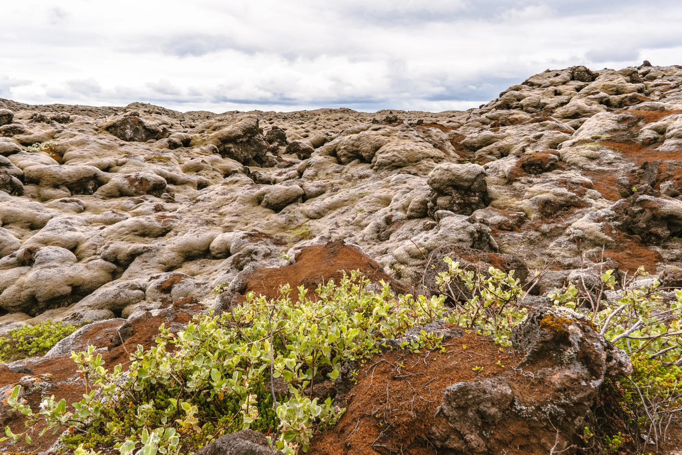 Tundra & Kerið 苔原与火山口湖